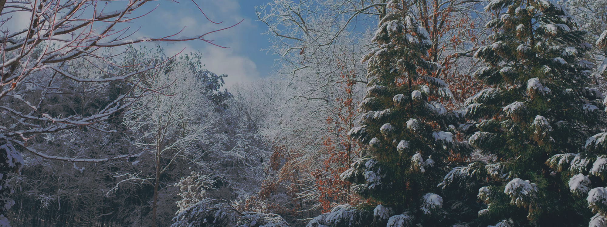 WELCOME*Join us for Christmas this festive season!*CHRISTMAS 2025